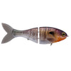 Trick Shad 4" - Ghost Gill