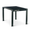 Rad Arondack Table - Black Fern
