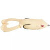 Outlier Frog - Bone Doctor