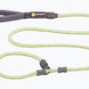 Just a Cinch Leash - Moss Green