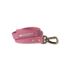 Mason Waterproof Dog Leash - Azalea