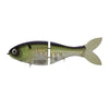 Trick Shad 6" - Pro Herring