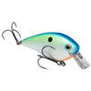 Kvd 2.5 Squarebill - Citrus Shad
