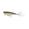Rebel Pop-R - Tn Shad