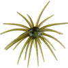 Prickly Pear 19 mm Finesse Bait - Guadalupe Haze