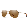 Langley 2 Sunglasses - Polarized Brown Lens - Gold Frame