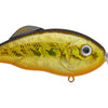 Hybrid Hunter Crankbait - Gold Black Back