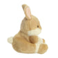 5" Ella Bunny Toy