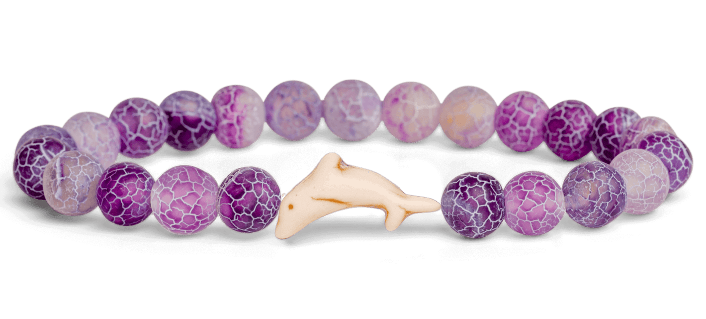 Dolphine-The Odyssey Bracelet