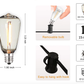 Shatterproof Outdoor String Lights: US