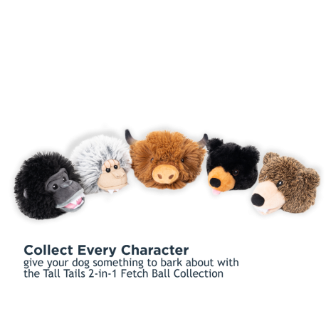 2-in-1 Fetch Ball Dog Toy