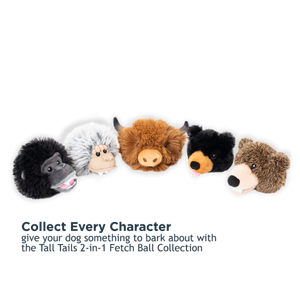 2-in-1 Fetch Ball Dog Toy