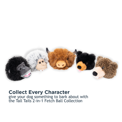 2-in-1 Fetch Ball Dog Toy