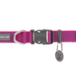 Hi & Light Collar