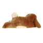 12" Sleepy Bunny Toy