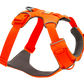 Front Range Harness