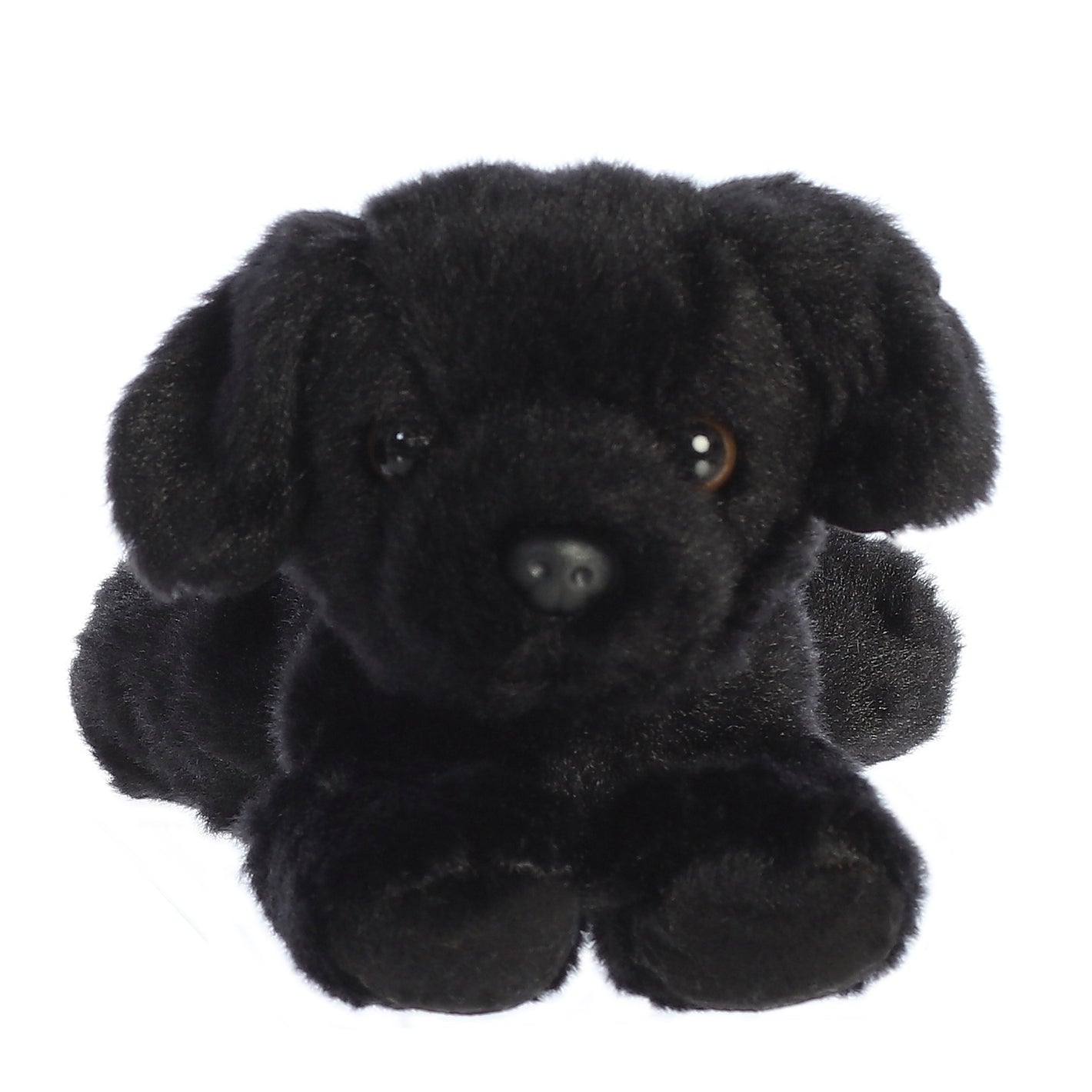 8" Blackie Toy