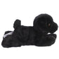 8" Blackie Toy