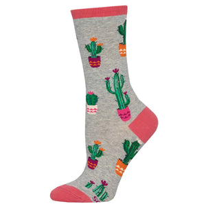 Court Of Cactus