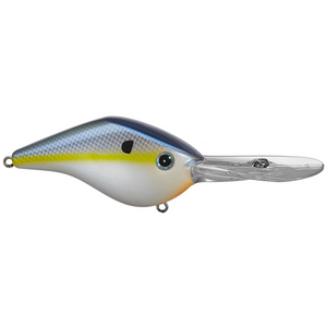 Azuma Z Boss 10