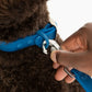 Everyday Pvc Leash