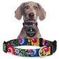 Love Dog Collar
