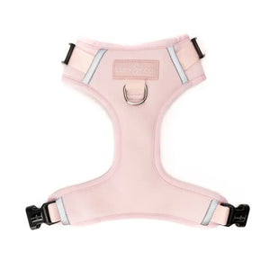 No-Pull Harness