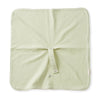 Lovey Mini Blanket Pacifier Holder - Sage