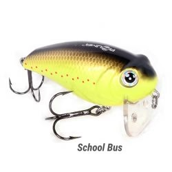 Azuma Wake Z - SCHOOL B