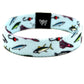 Bait & Tackle Bands