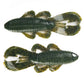 Googan Bandito Bug 7Pk
