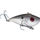Red Eyed Shad