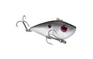 Red Eyed Shad