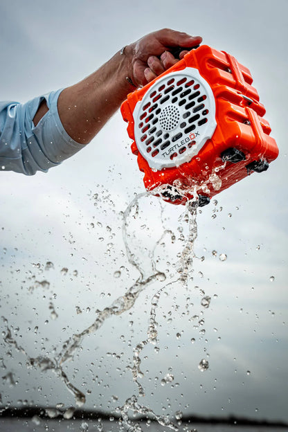Cub Turtlebox Speaker