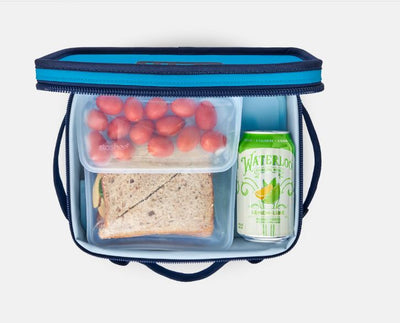 Daytrip Lunch Box - WAVE/NVY