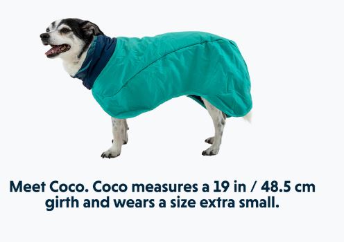 Dirtbag Dog Towel - AUR TEAL