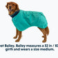 Dirtbag Dog Towel - AUR TEAL