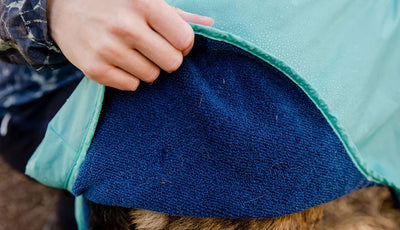 Dirtbag Dog Towel - AUR TEAL