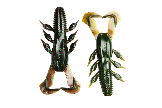 Cyclone Craw