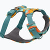Front Range Harness - Spring Mountains