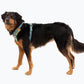 Front Range Harness