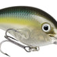 Pro Model 5XD Crankbait