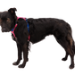 Hi & Light Harness