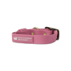 Mason Waterproof Dog Collar - Azalea