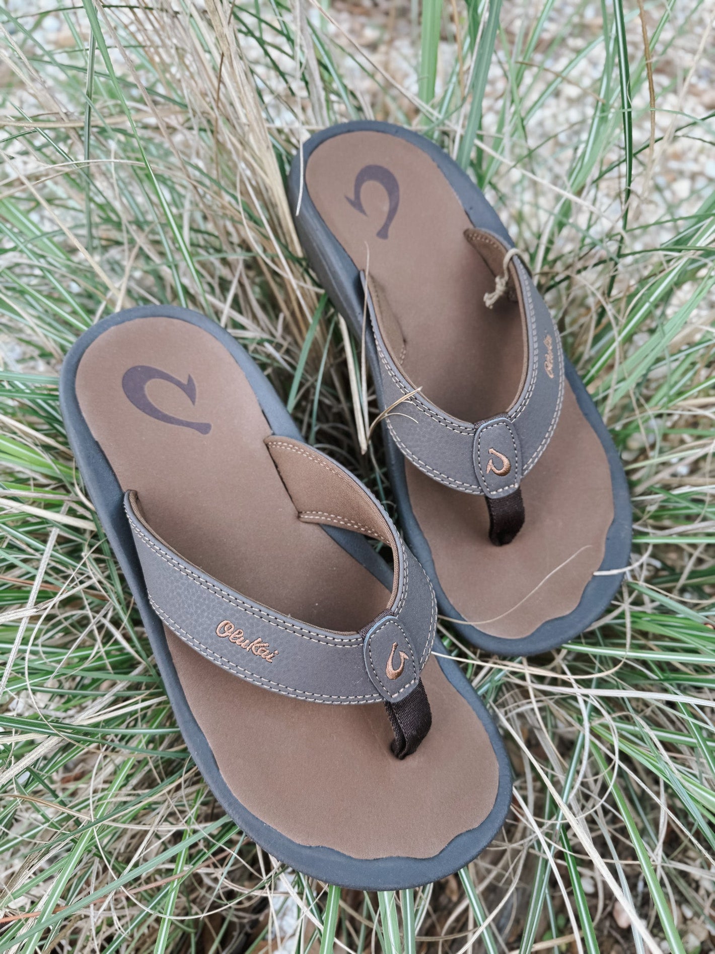 Men's Ohana Dark Java / Ray Sandal