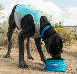 Jet Stream Vest