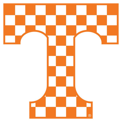 Collegiate Vechicle Magnet