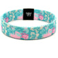 La Siesta Bands