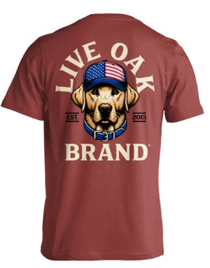 Lab Hat Live Oak