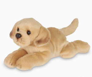 Lil Tanner The Yellow Lab